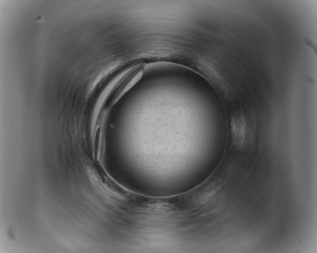 X0000099470396200805161116