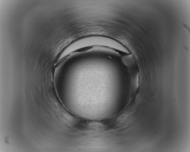 X0000099470397200805161116