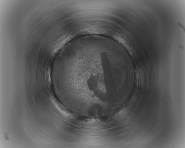 X0000099470398200805161116