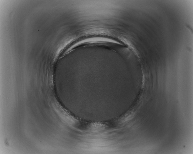 X0000099470399200805161116