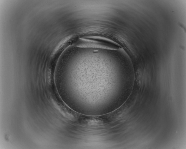 X0000099470400200805161116
