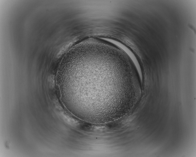 X0000099470401200805161116