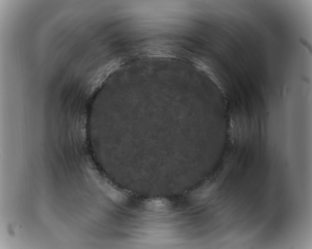 X0000099470402200805161116