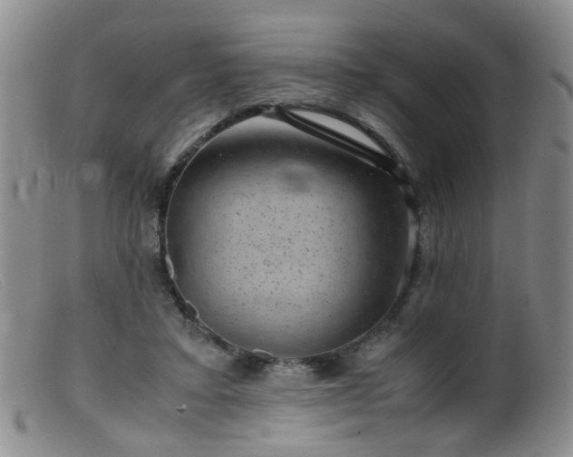 X0000099470403200805161116