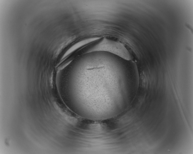 X0000099470404200805161116