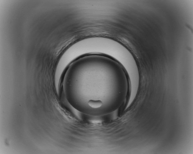 X0000099470405200805161116