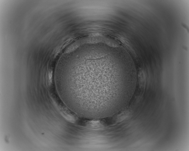 X0000099470406200805161116