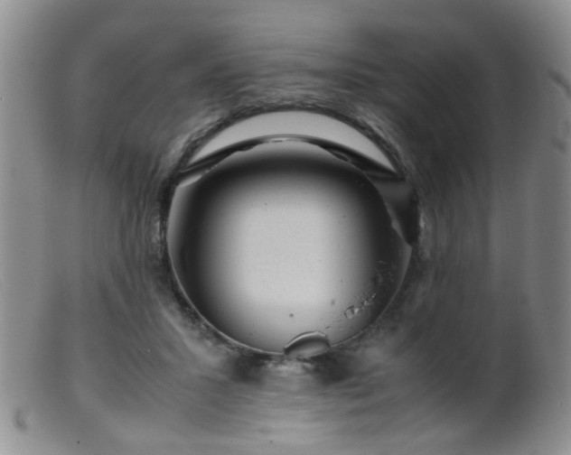 X0000099470407200805161116