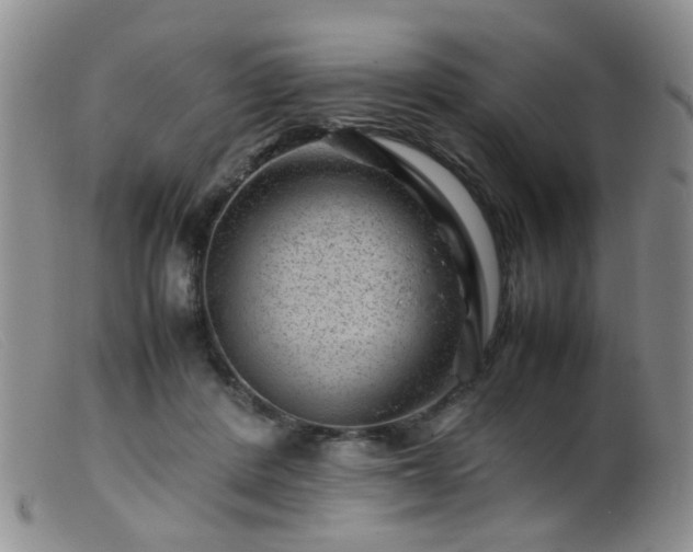 X0000099470408200805161116