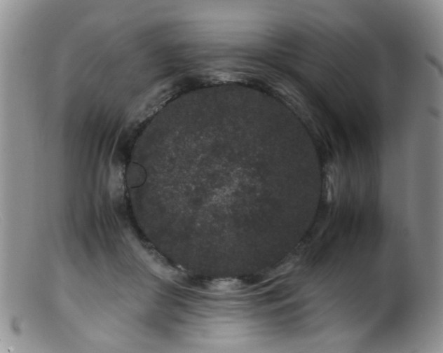 X0000099470410200805161115
