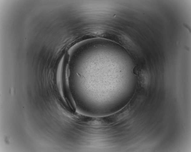 X0000099470412200805161115