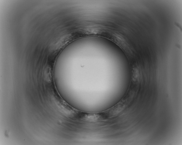 X0000099470414200805161115