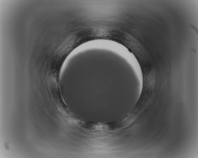 X0000099470415200805161115