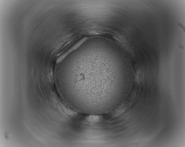 X0000099470418200805161115