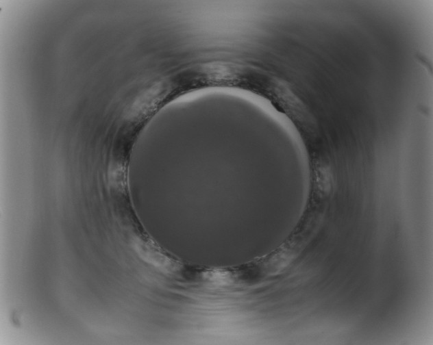 X0000099470419200805161115