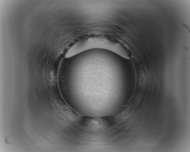 X0000099470420200805161115