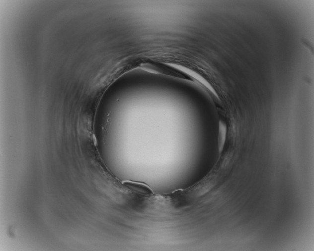 X0000099470421200805161115