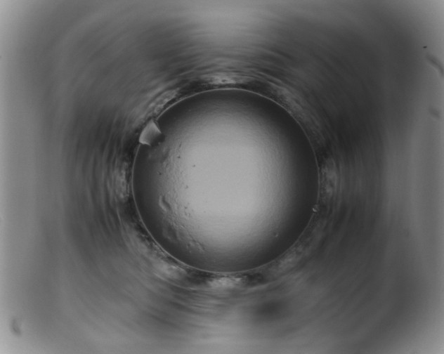 X0000099470422200805161115