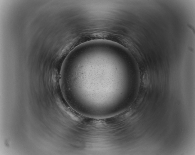 X0000099470424200805161115