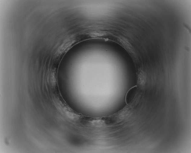 X0000099470426200805161115
