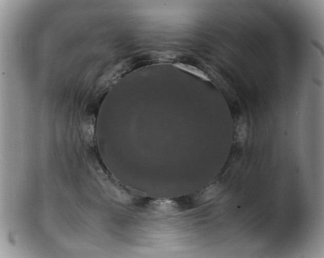 X0000099470427200805161115