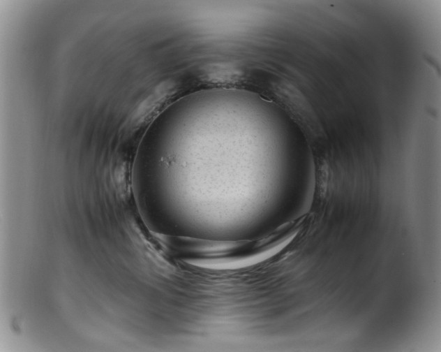 X0000099470428200805161115