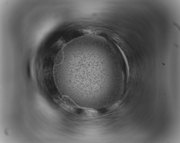 X0000099470429200805161115