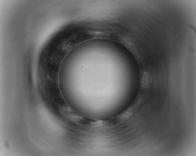 X0000099470430200805161115