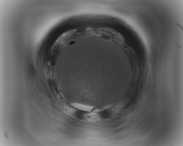 X0000099470431200805161115