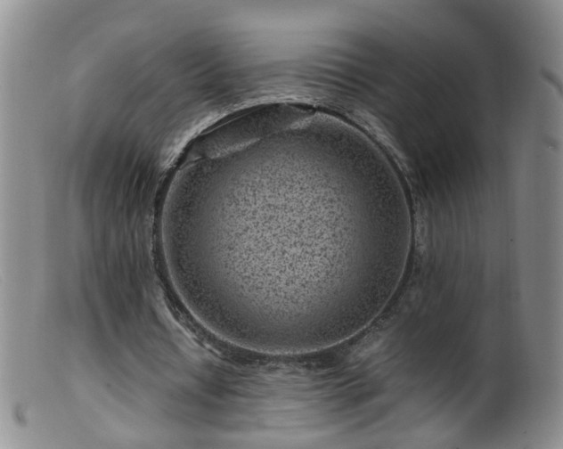 X0000099470434200805161114