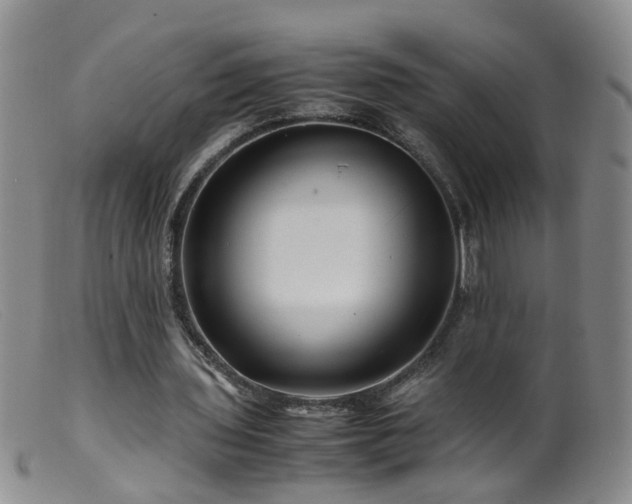 X0000099470435200805161114