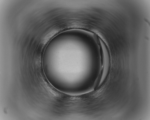 X0000099470437200805161115