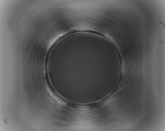 X0000099470438200805161115