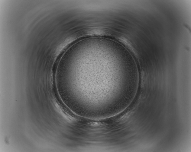 X0000099470439200805161115