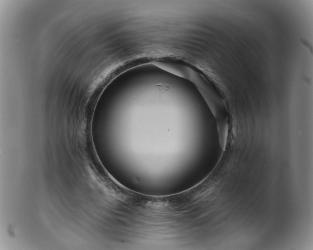 X0000099470440200805161115