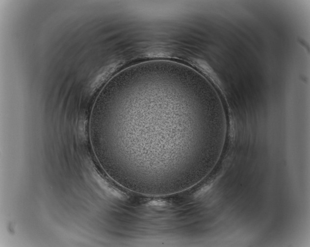 X0000099470441200805161115