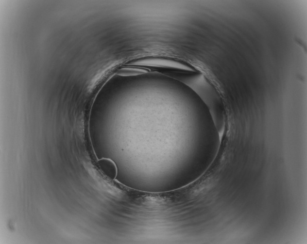X0000099470442200805161115