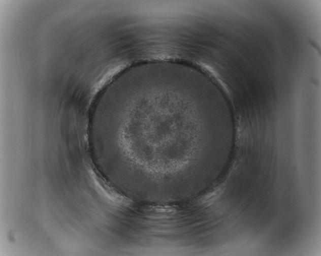X0000099470443200805161115