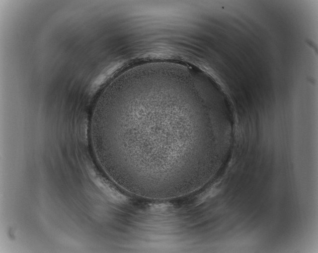 X0000099470446200805161115