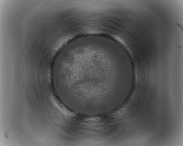 X0000099470447200805161115