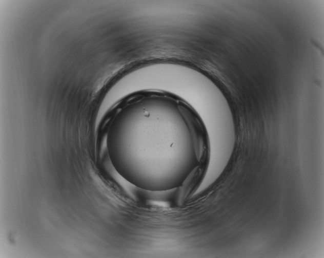X0000099470448200805161115