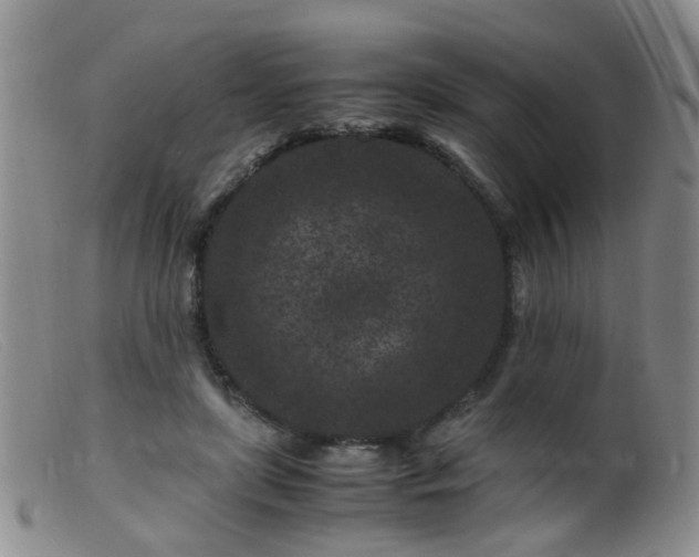 X0000099470451200805161115