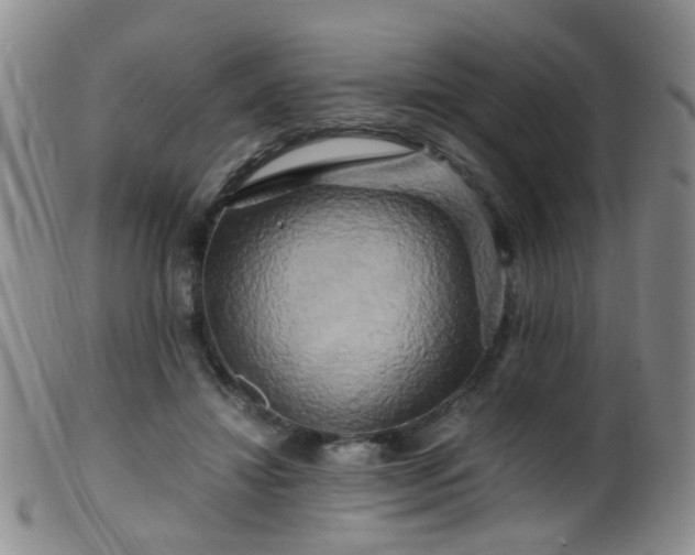 X0000099470452200805161115