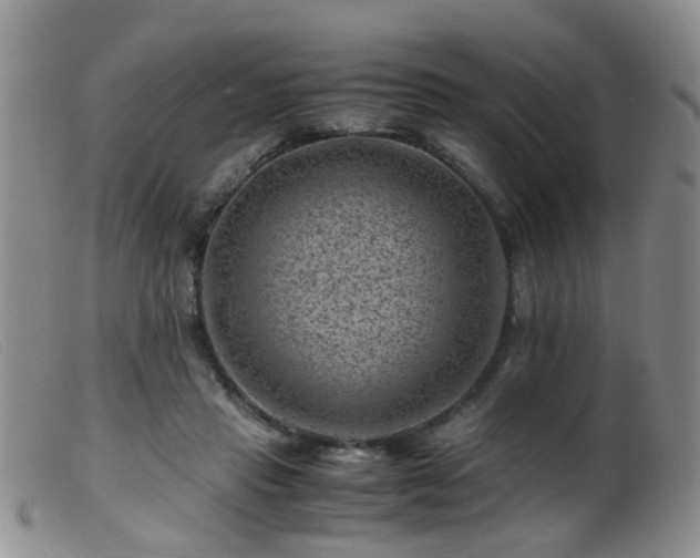 X0000099470453200805161115