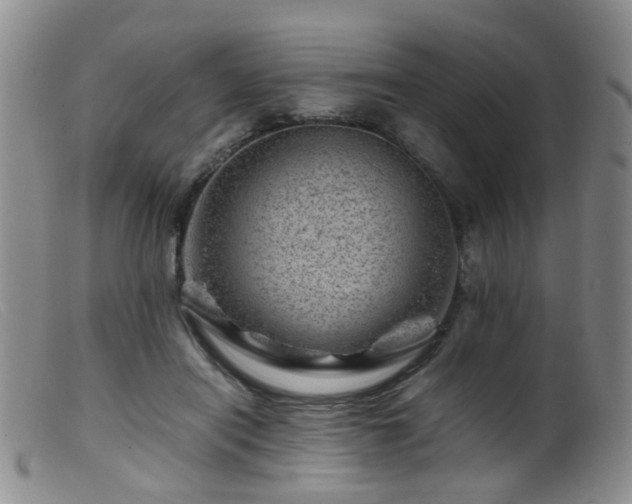 X0000099470454200805161115