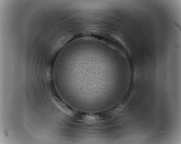 X0000099470455200805161115