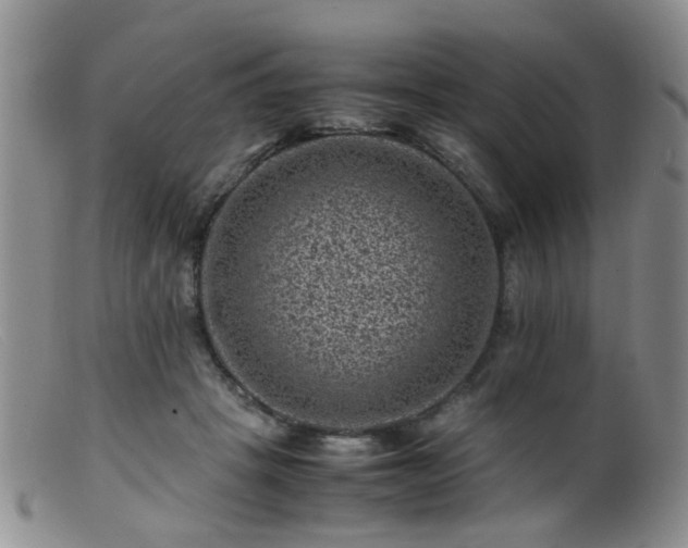 X0000099470457200805161115