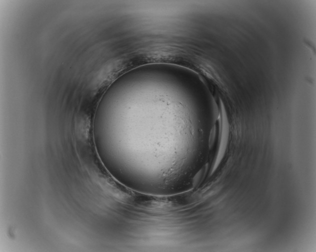 X0000099470458200805161115