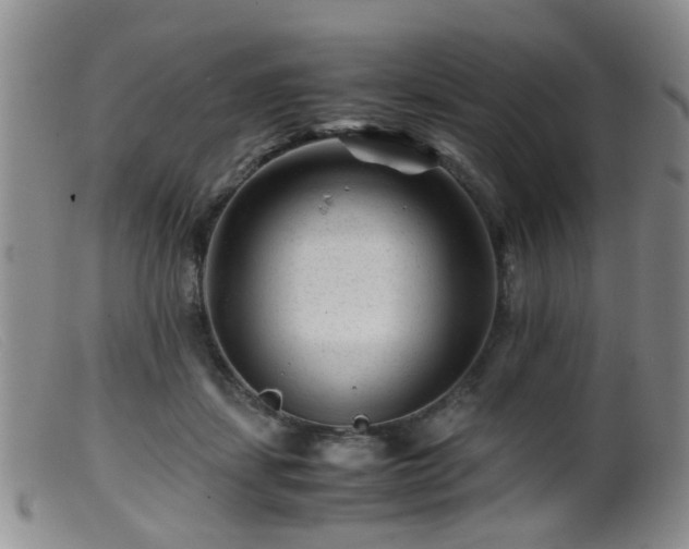 X0000099470459200805161115