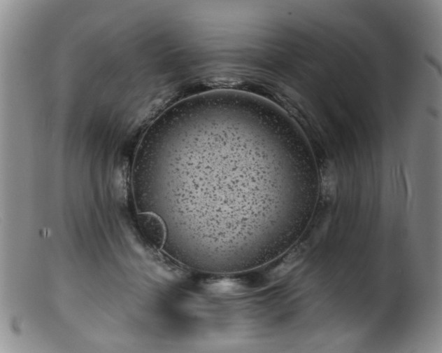X0000099470460200805161115